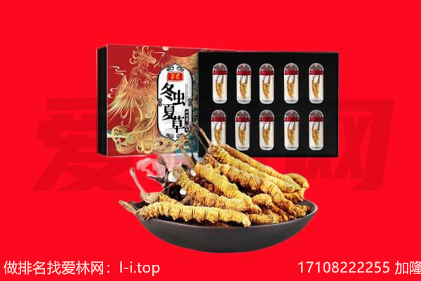 包头冬虫夏草回收